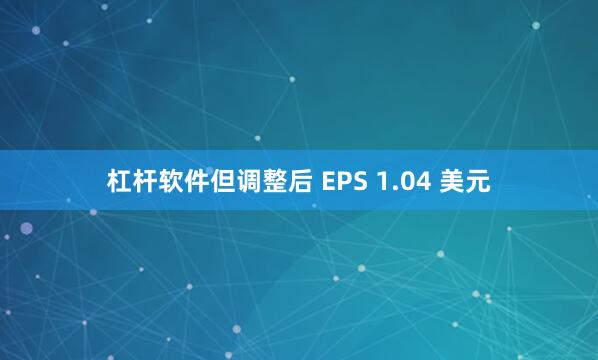 杠杆软件但调整后 EPS 1.04 美元