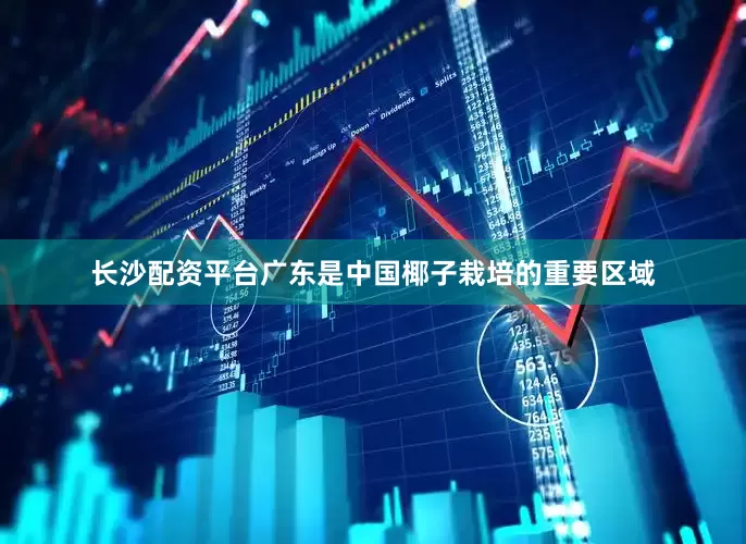 长沙配资平台广东是中国椰子栽培的重要区域