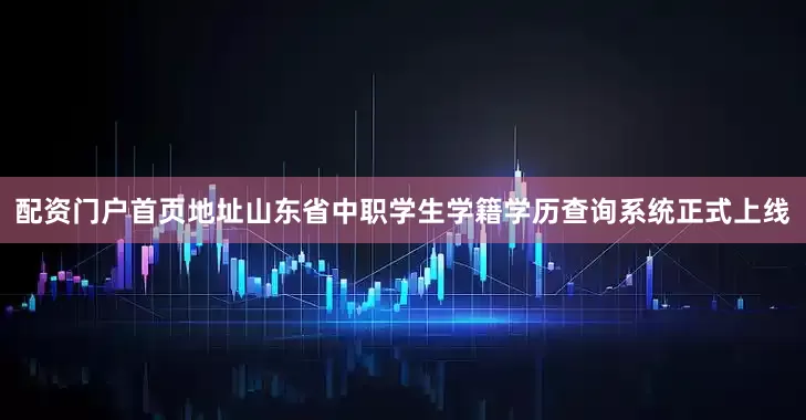 配资门户首页地址山东省中职学生学籍学历查询系统正式上线