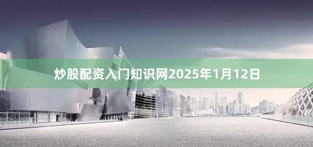 炒股配资入门知识网2025年1月12日