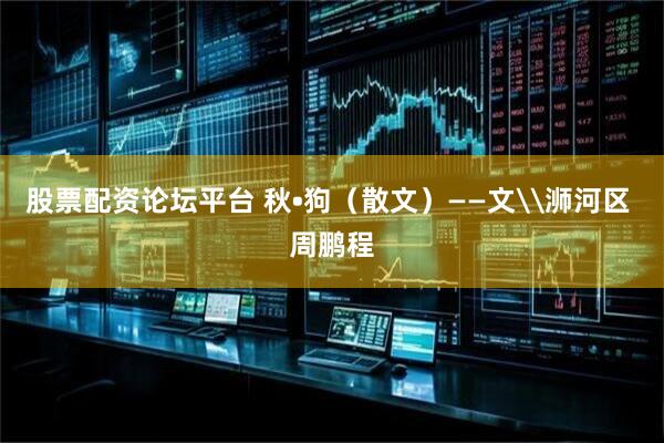 股票配资论坛平台 秋•狗（散文）——文\浉河区 周鹏程