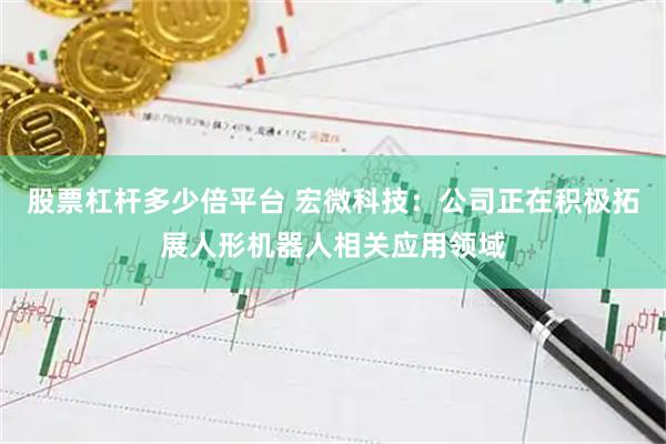 股票杠杆多少倍平台 宏微科技：公司正在积极拓展人形机器人相关应用领域