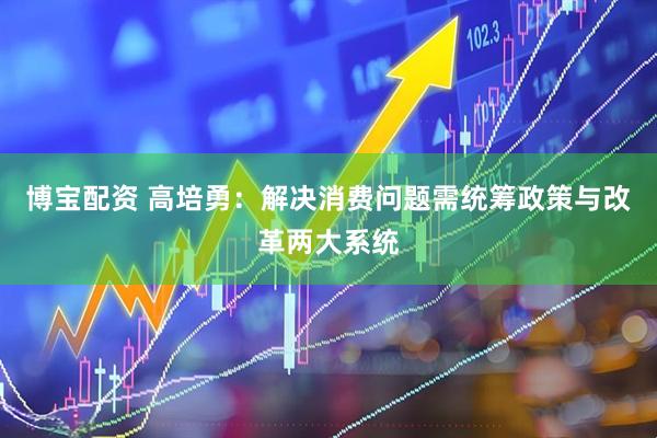 博宝配资 高培勇：解决消费问题需统筹政策与改革两大系统